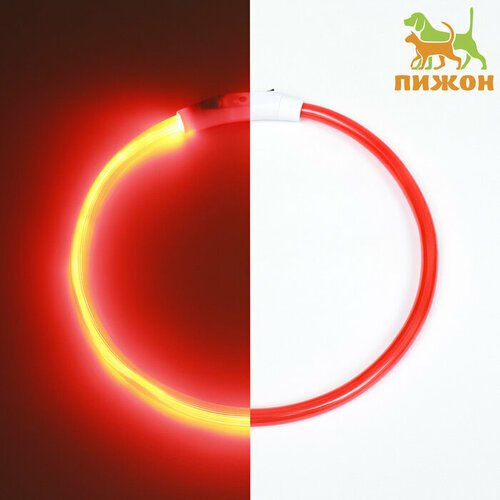 Ошейник – кольцо с подсветкой, зарядка от USB, до 70 см, 3 режима свечения, красный