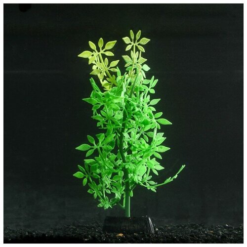 Sima-land Растение силиконовое аквариумное, светящееся в темноте, 8 х 19 см, зелёное