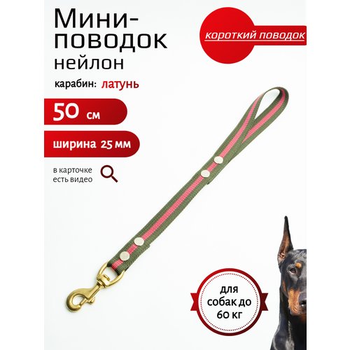 Мини-поводок Хвостатыч для собак с золотым латунным карабином нейлон 0,5 м х 25 мм (зелено-красный)