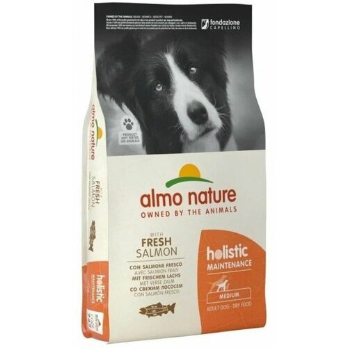 Сухой корм для Взрослых собак всех пород Almo Nature (Holistic-Maintenance-Medium), с лососем, 2 кг.