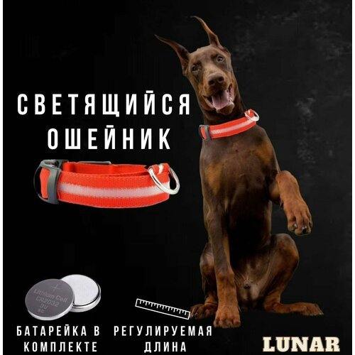 Светящийся ошейник для собак средних и крупных пород, красный, регулируемый, длина 43см