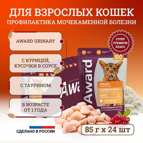 Влажный корм для кошек Award Urinary Chunks in Gravy Adult Chicken для профилактики мочекаменной болезни, с курицей, кусочки в соусе, в паучах – 85 г х 24 шт