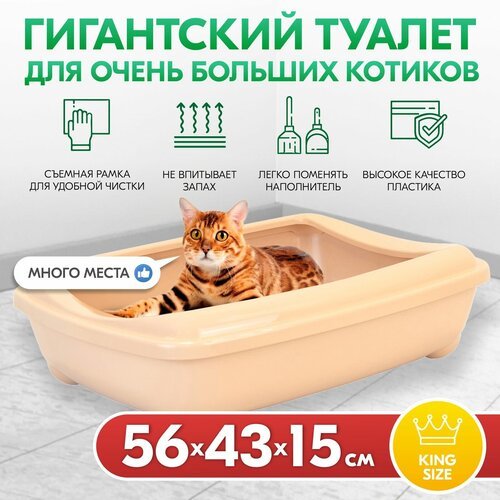 Туалет для кошек, лоток для кошек 'PetTails' для Мейн-кунов глубокий, большой (под наполнитель) 56*43*15см, бежевый