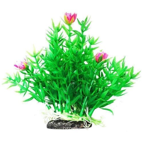 УЮТ Растение аквариумное 12см Гемиантус с розовыми цветами