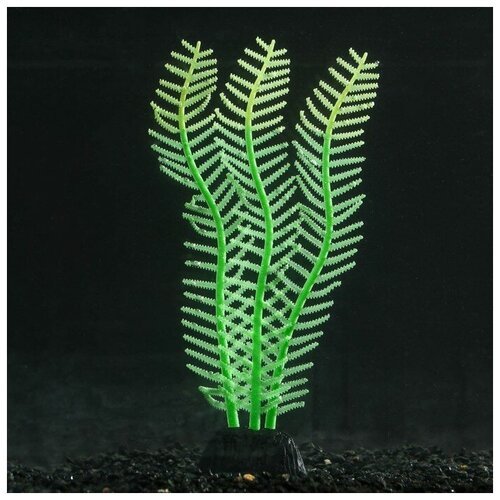 Sima-land Растение силиконовое аквариумное, светящееся в темноте, 4,5 х 15 см, зелёное