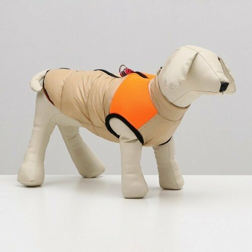 Куртка для собак на молнии, размер 18 (ДС 40 см, ОГ 50 см, ОШ 38 см), бежевая с оранжевым (комплект из 2 шт)