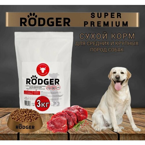 RODGER Сухой Корм SUPER PREMIUM, для собак средних и крупных пород, говядина 3кг