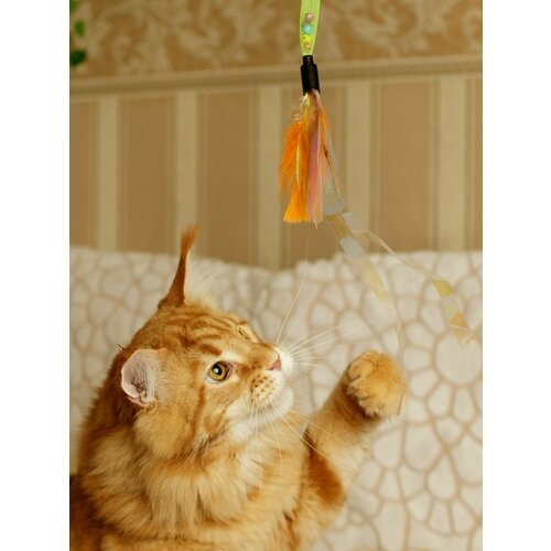 Игрушка для кошек Japan Premium Pet эластичная дразнилка с перьями, ленточками и колокольчиками.
