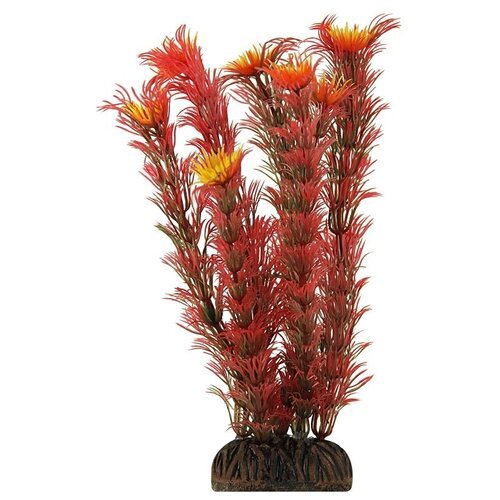 Растение LAGUNA “Амбулия” красная, 200мм