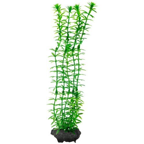 Искусственное растение Tetra Anacharis M 23 см зеленый