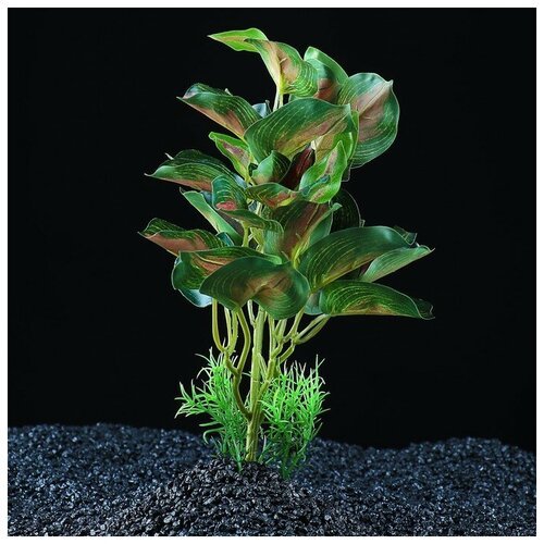 Растение аквариумное “в горшочке”, 31 х 23 х 19 см