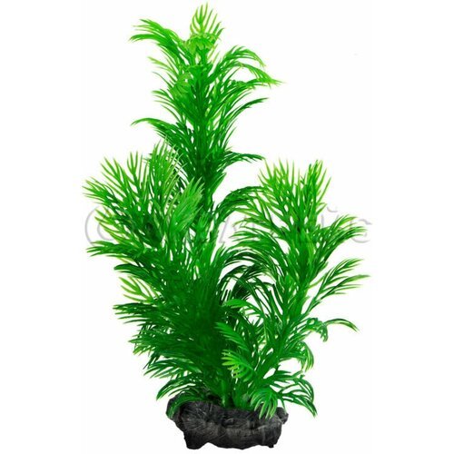 Растение аквариумное с утяжелителем Tetra Green Cabomba 3, 30 см
