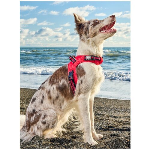 Шлейка для собак Japan Premium Pet жилетка с балансером и функцией вентиляции, размер S, красный