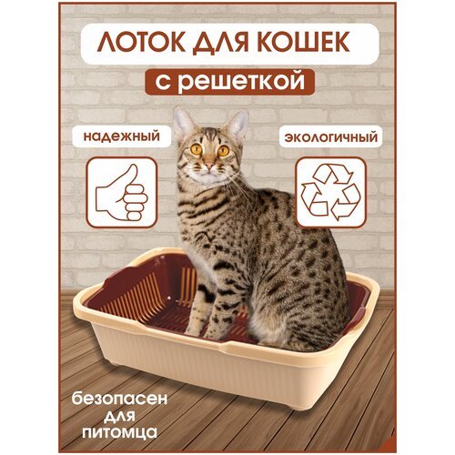 Лоток для кошек средний размер с сеткой , Бежево-коричневый, DD Style, 42х32х11 см