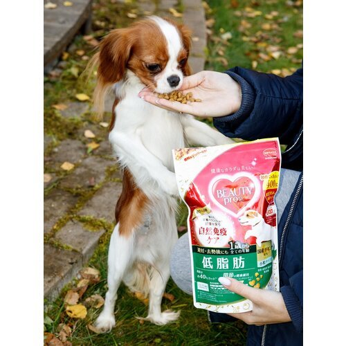 Корм для собак сухой Japan Premium Pet BEAUTY PRO с низким содержанием жира для контроля веса, 400гр