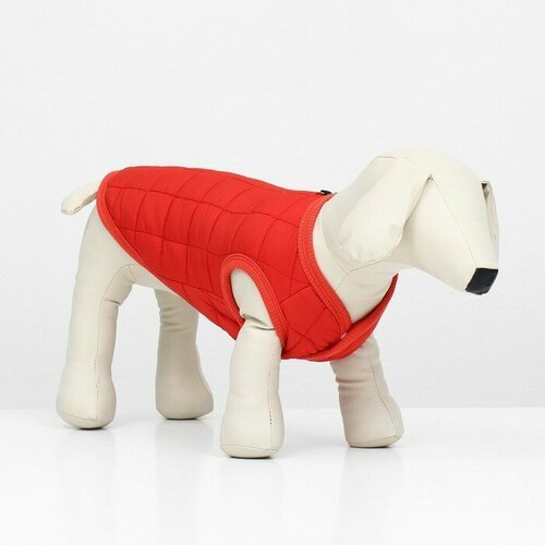 Куртка для собак “Nice”, размер S (ДС 25 см, ОШ 25 см, ОГ 34 см), красная