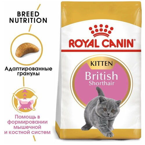 Корм сухой ROYAL CANIN полнорационный сбалансированный для британских короткошерстных котят 2 кг х 3 шт