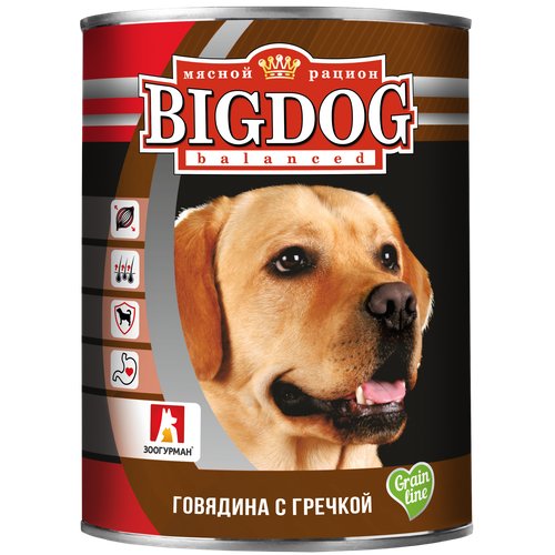 Влажный корм для собак Зоогурман Big Dog, говядина, с гречкой 1 уп. х 1 шт. х 850 г (для средних и крупных пород)
