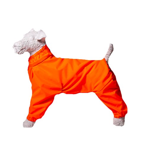Комбинезон-дождевик для бишон-фризе суки, повышенной прочности, цвет оранжевый