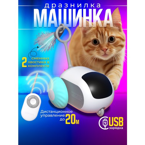 Радиоуправляемая игрушка для кошек интерактивная игрушка