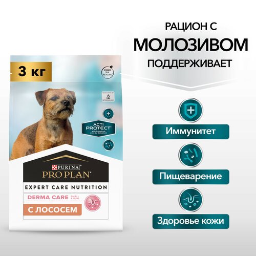 Сухой корм PRO PLAN ACTI PROTECT, для взрослых собак мелких и карликовых пород с чувствительной кожей, с высоким содержанием лосося, 3кг