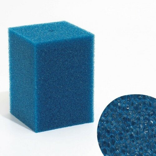 Губка прямоугольная для фильтра № 16, крупнопористая, 14 х 14 х 20 см, синяя
