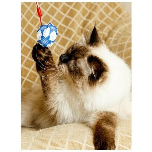Игрушка для кошек Japan Premium Pet Дразнилка в виде мяча с мататаби с функцией чистки зубов.