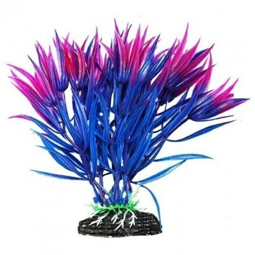 Растение аквариумное Уют, Гетерантера сине-фиолетовая, 11 см