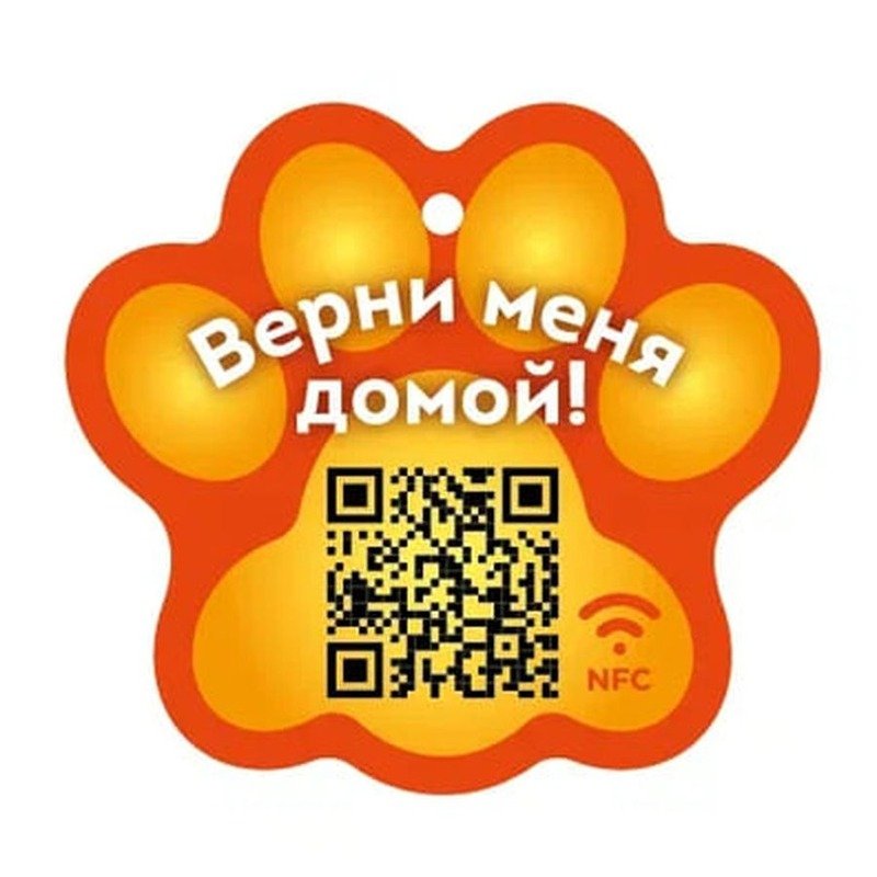 PetCard цифровая визитка/адресник с NFC и QR кодом для кошек и собак, оранжевый