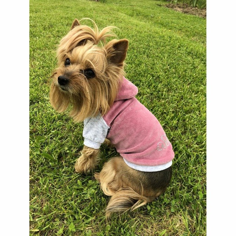 Толстовка с капюшоном OSSO-fashion для собак любого возраста миниатюрных мелких и средних пород из велюра розового цвета – р. 20