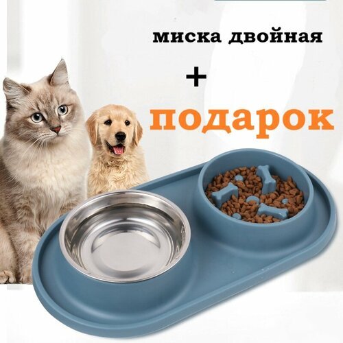 Интерактивная миска для медленного кормления