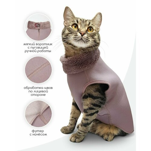 Толстовка одежда для кошек сфинкс и котов / Эльф размер XS