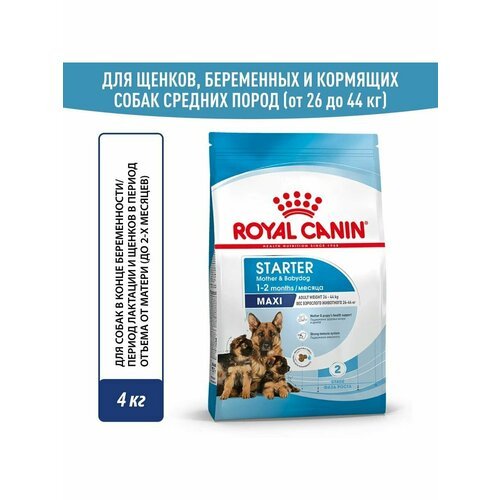 Сухой корм Royal Canin Maxi Starter для щенков 15 кг