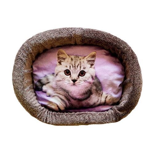 Лежак для кошек PerseiLine Rich Breed Дизайн № 6 принт 13 овальный 67 х 49 х 16 см (1 шт)