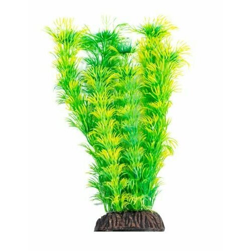 Растение “Амбулия”, жёлто-зеленое, 20 см, мягкое, не причиняет вреда рыбе, декорация для аквариума