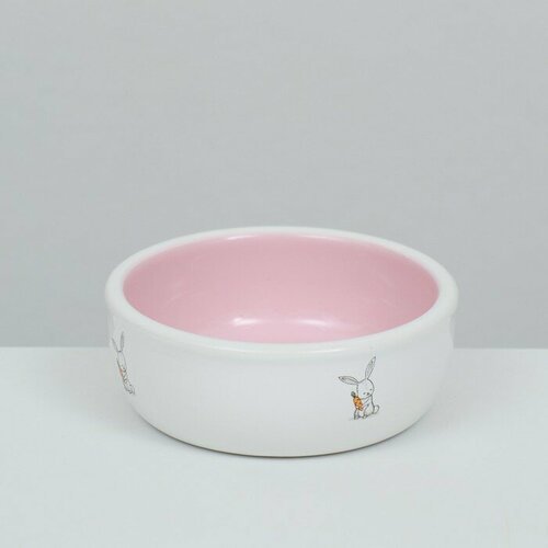 Миска керамическая для кроликов 200 мл 10 х 3,7 см, розовая/белая