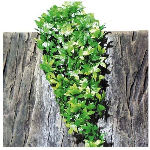Искусственное растение JBL Congo Efeu 40 см 40 см зеленый