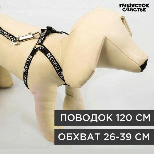 Пушистое счастье Комплект Security dog, шлейка 26-39 см, поводок 120х1 см
