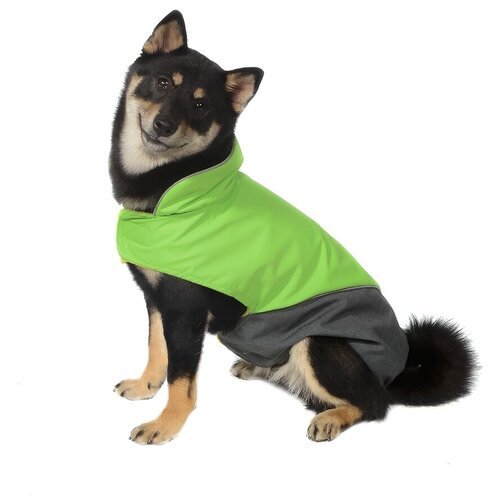 Tappi попона Блант для собак, зеленая, размер 2XL (спинка 46 см)