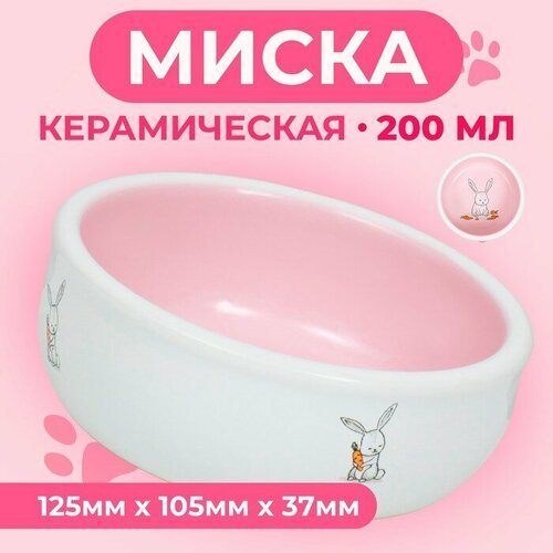 Миска керамическая для кроликов 200 мл 10 х 3,7 см, розовая/белая