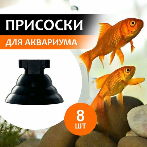 Присоски для аквариума, 22 мм, 8 шт, для фильтров и нагревателей