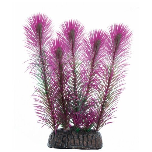 Растение Перистолистник фиолетовый, 200мм, 2 шт.
