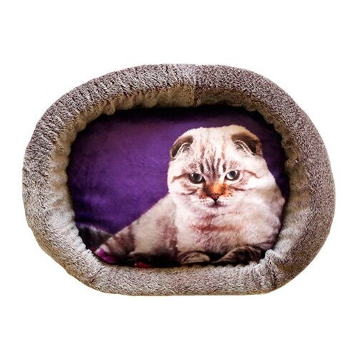 Лежак для кошек PerseiLine Rich Breed Дизайн № 5 принт 4 овальный 55 х 47 х 16 см (1 шт)