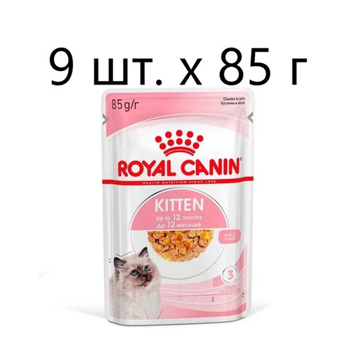 Влажный корм для котят Royal Canin Kitten, 9 шт. х 85 г (кусочки в желе)