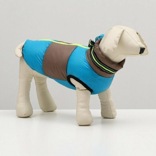 Куртка для собак на молнии, размер 8 (ДС 23 см, ОГ 30, ОШ 22 см), серо-голубая (комплект из 2 шт)