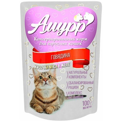 Амурр для взрослых кошек с говядиной в желе (100 гр)