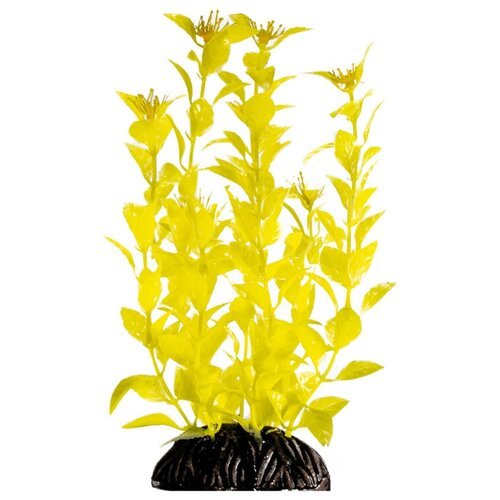 Растение Людвигия ярко-желтая, 200мм
