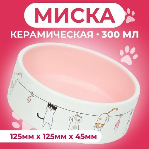 Миска керамическая 'Весёлые котики' 300 мл 12,5 x 4,5 cм, бежево-белая