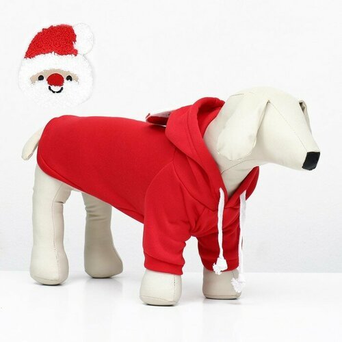 Костюм для животных “Дед Мороз”, размер XS, красный
