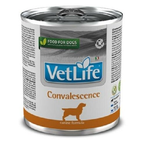FARMINA вет. корма Консервы для собак в период выздоровления VET LIFE 10852 | Vet Life Convalescence 0,3 кг 41124 (3 шт)